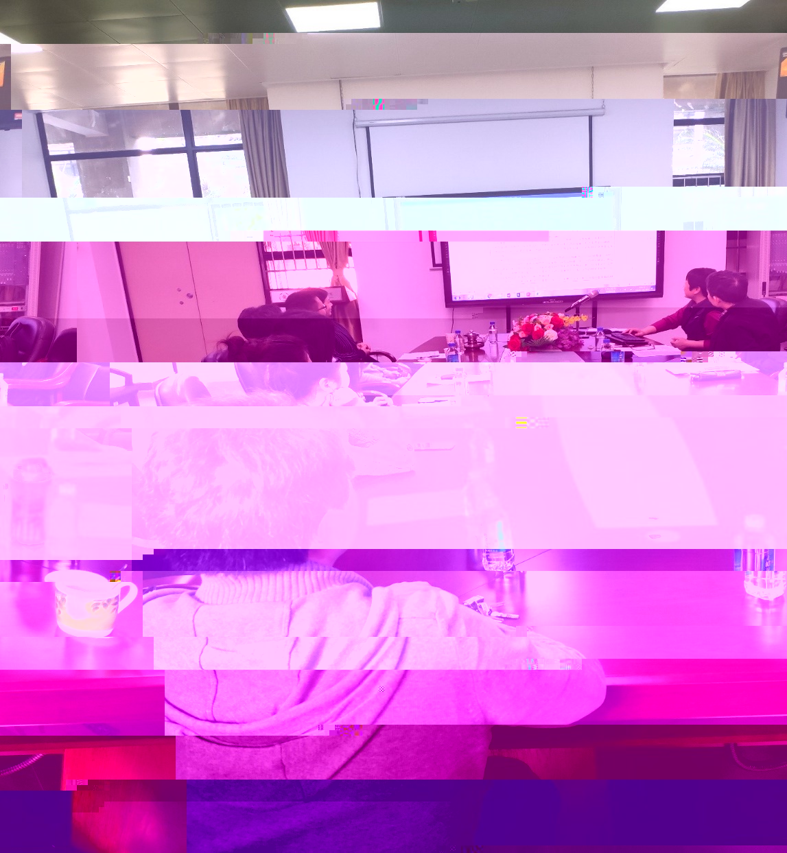 The Expert Advisory Panel on NSSFC Application in Linguistics Held